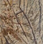 Płytka kamienna marmur Rain Forest Brown polerowany 61x30,5x1,2 cm